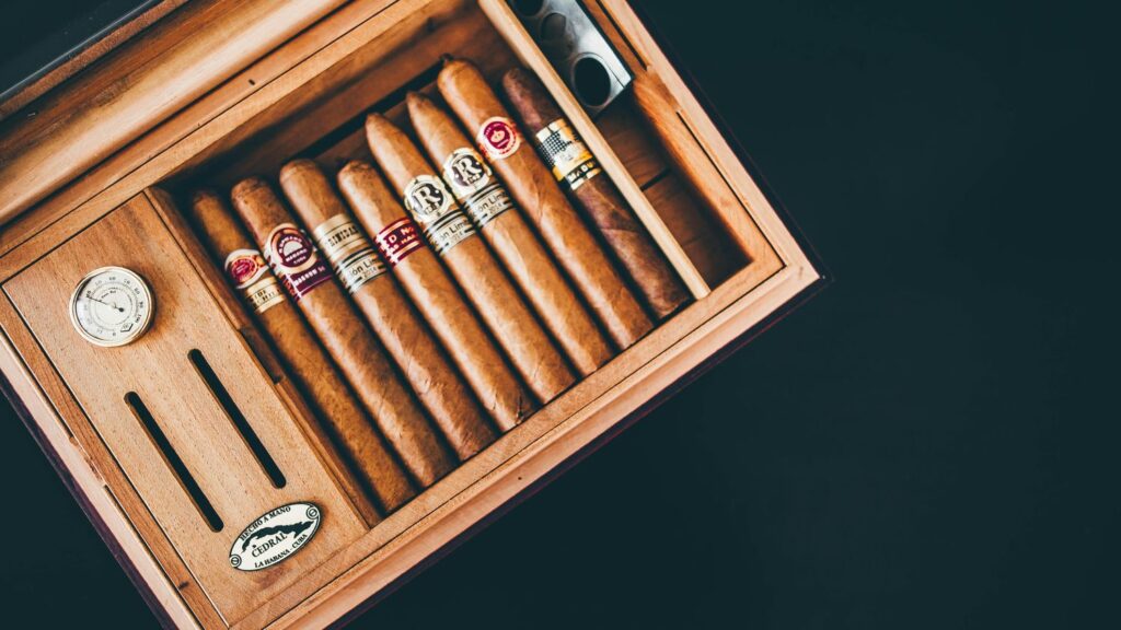 Open humidor showcasing top-rated beginner-friendly cigars for sale at your Cigar Store Tulsa location.