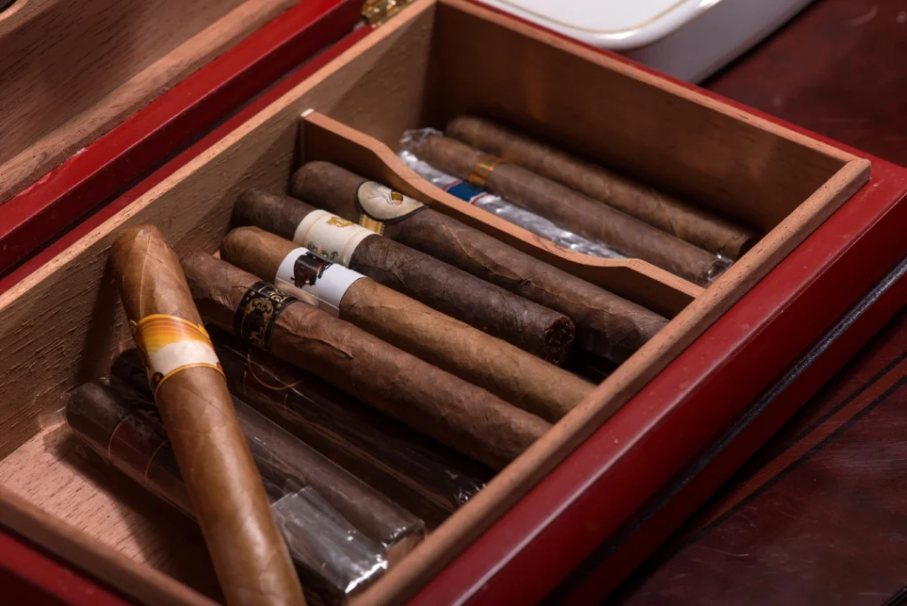 Close-up of a red cigar box with assorted premium cigars at a Cigar Shop Tulsa, showcasing quality selection.