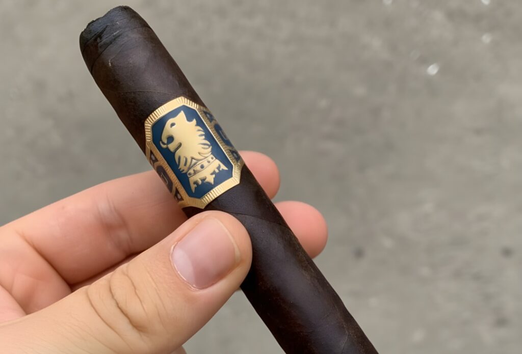 A hand holding a dark Maduro cigar with a gold lion crest, available at your favorite local cigar shop Tulsa.