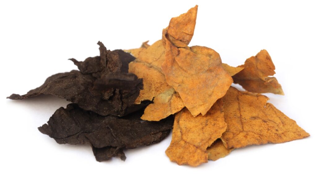 High quality dark and golden cured whole tobacco leaves available at a local tobacco shop Tulsa retail location.